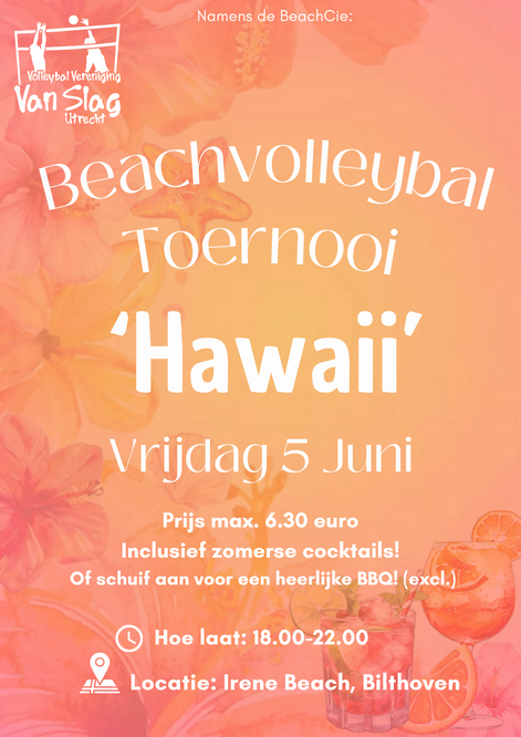 Large beachvolleybal